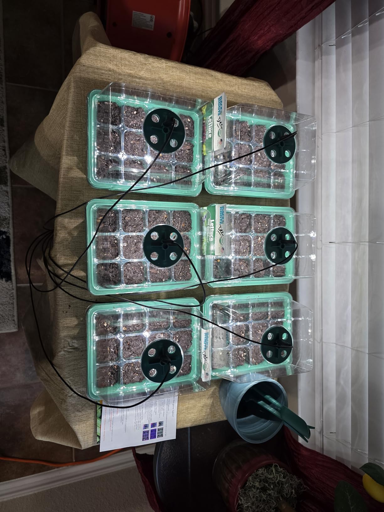 Seed Starter Trays with Grow Lights, 72 Cells Seed Starter Kit with Lights, 3 Lighting Mode, 4 Timing Set, Germination Kit for Seed Starting Trays, Seedling Starter with High Humidity Control Domes customer photo 2