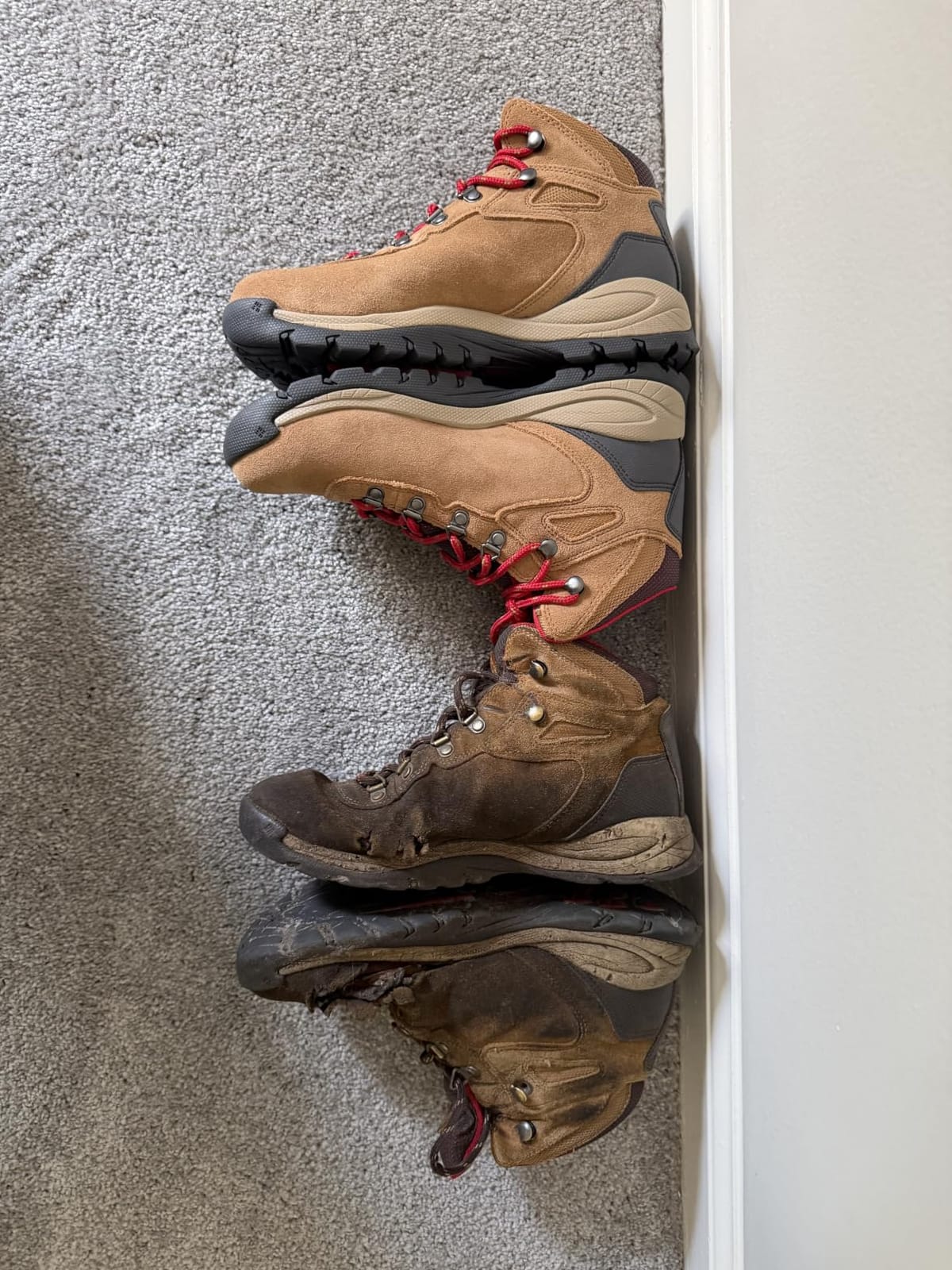 Columbia Women’s Newton Ridge Plus Waterproof Amped customer photo 1