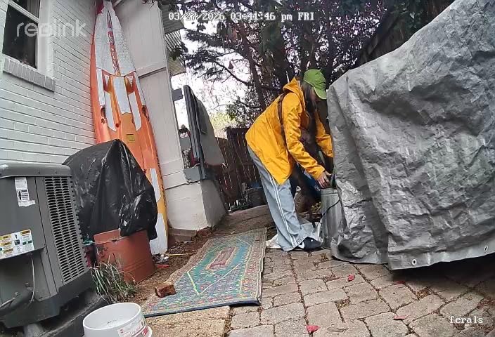Women's Precip Eco Waterproof Rain Jacket customer photo 1