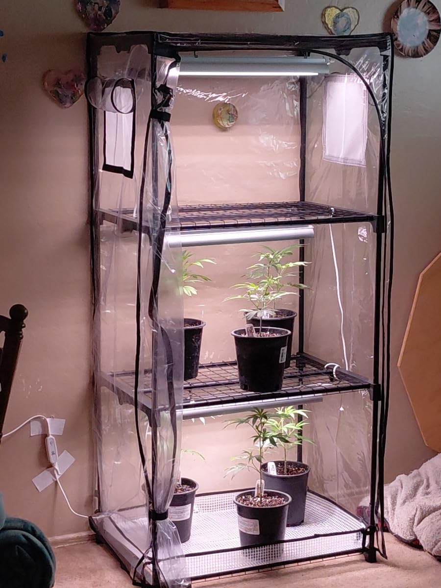 Indoor Greenhouse with Grow Light,4-Tier Plant Shelf, 30x14x59in customer photo 1