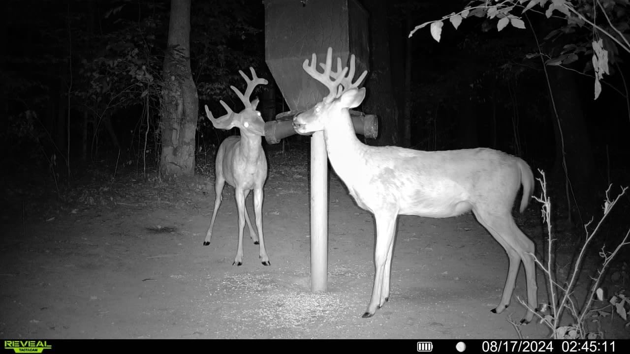 TACTACAM Reveal X Gen 3.0 Cellular Trail Camera - Multi Carrier, HD Photos & Videos, Pre-Installed Antenna, Built-in GPS, Best Battery Life, Low-Glow, Fast Trigger Speed + Cleaning Cloth | 2PK customer photo 1