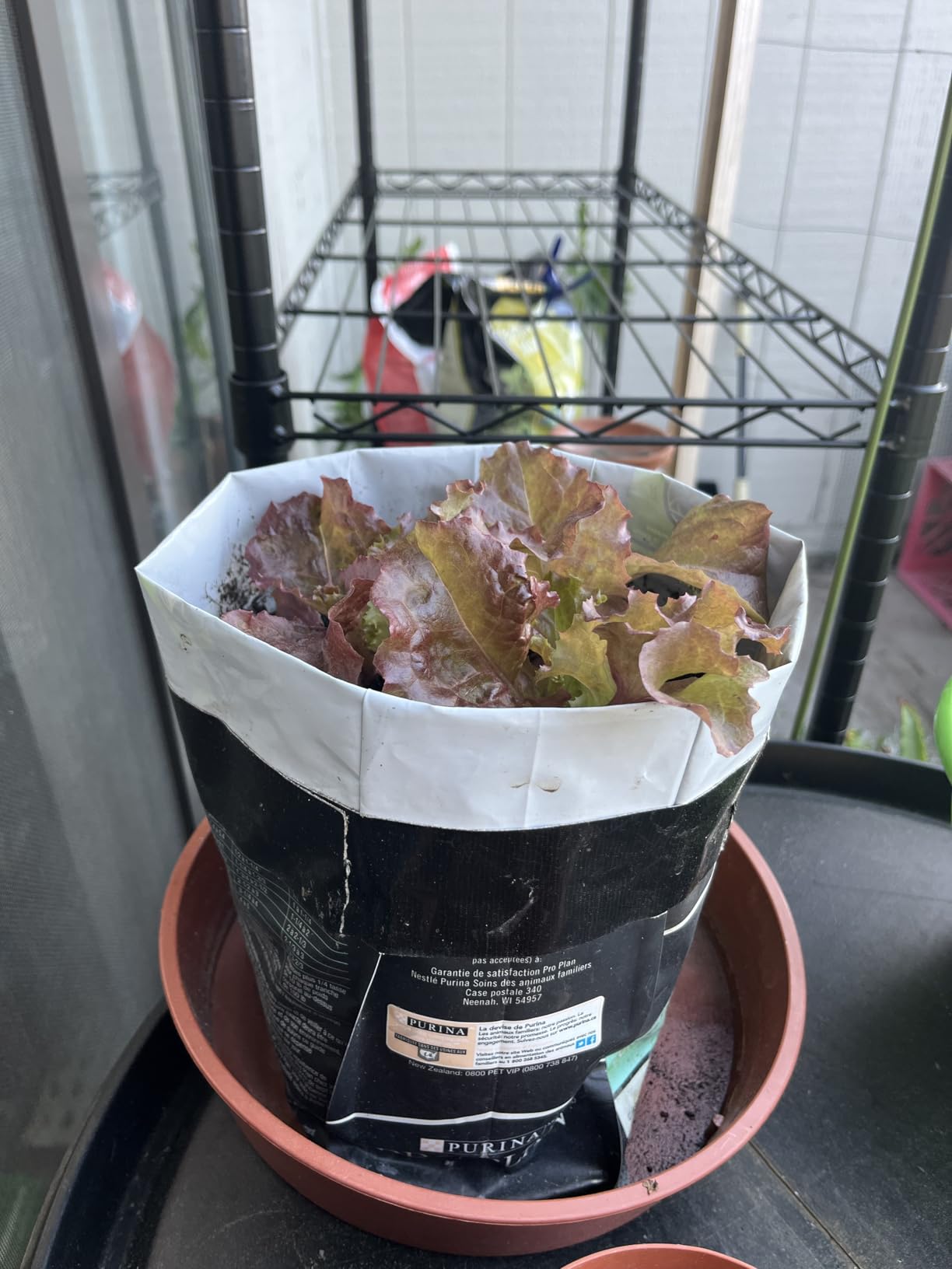 SDOVUERC 16'' 3 Bars Grow Light Strips for Indoor Shelves Plants Growing. customer photo 1