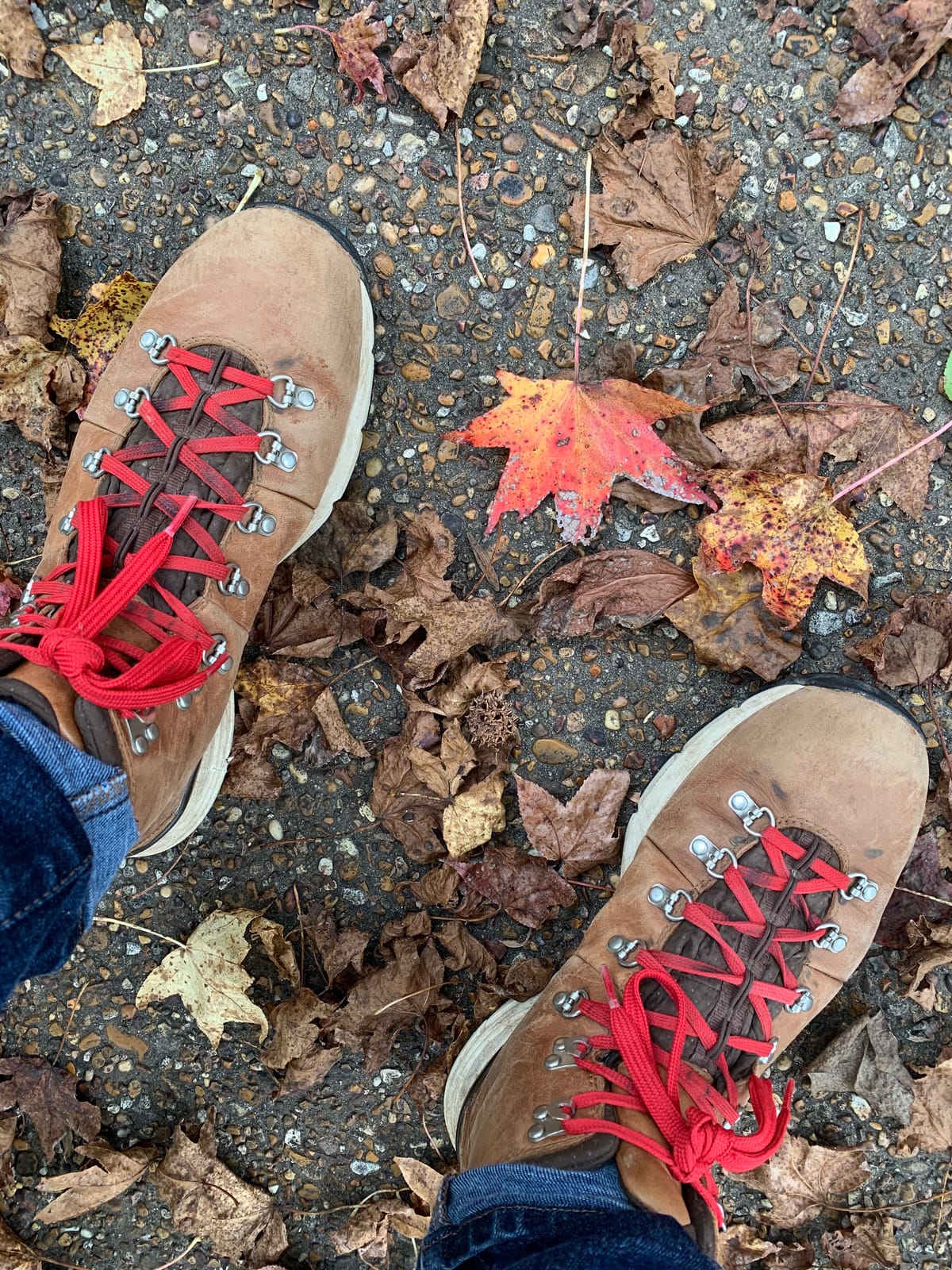 Danner Mountain 600 Men's Hiking Boots customer photo 2