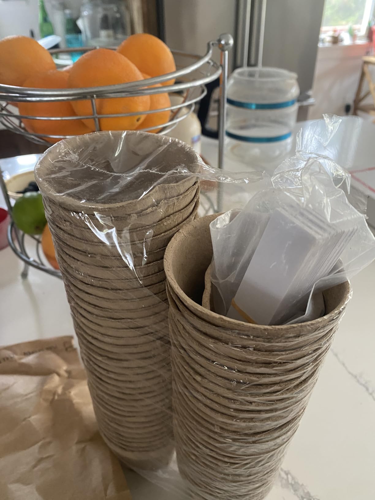 Dalzom® 60Pcs 3.1” Peat Pots with 60Pcs Plant Labels, Biodegradable Pots for Seedlings with Drainage Holes, Garden Plant Nursery Pots Seed Starting Trays customer photo 2