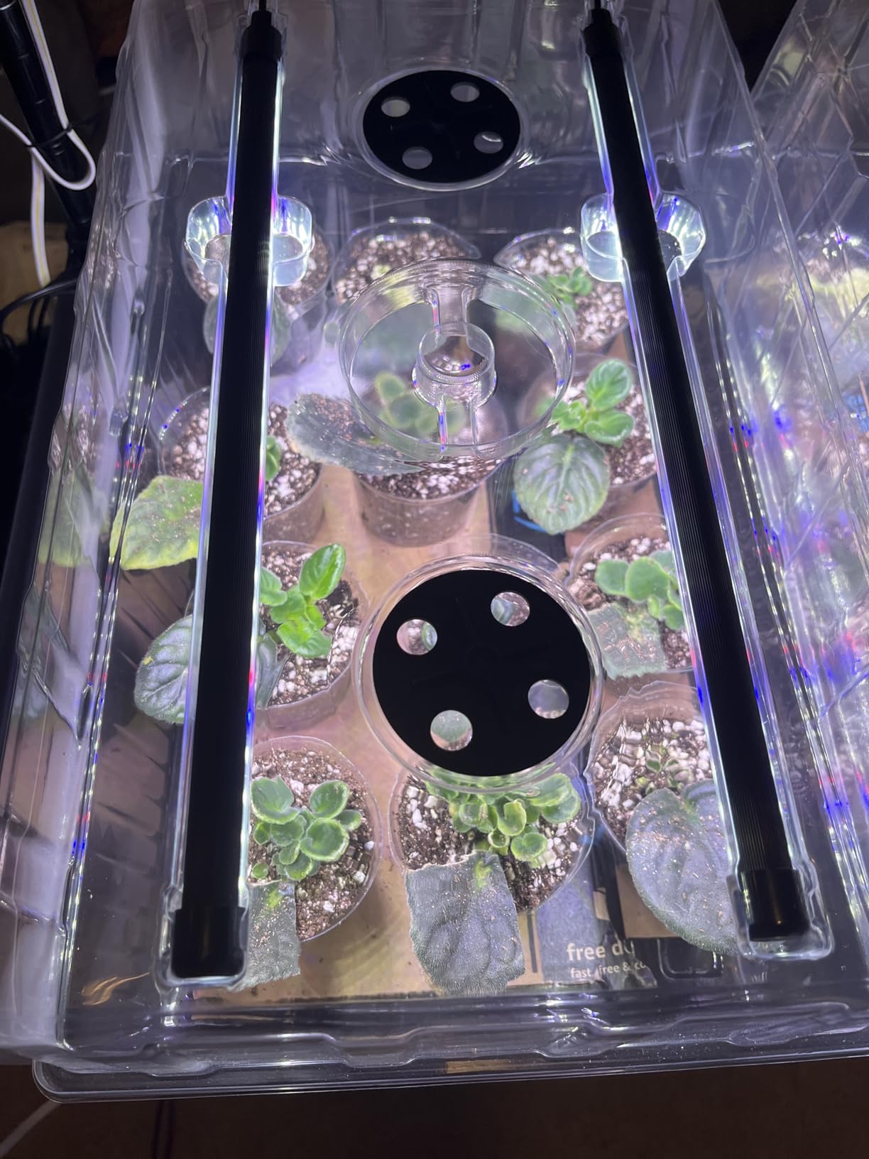 Patigrow 60-Cell Self-Watering Seed Starter Tray with Grow Light, Seed Starter Kit with 4.07” Humidity Dome, Indoor Seedling Starter Tray, Seed Starting Trays for Plant Germination, Seeds Growing customer photo 2