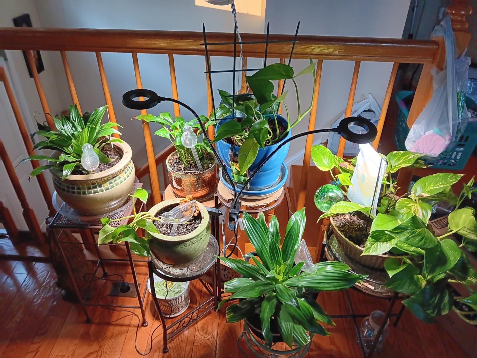 Grow Lights for Indoor Plant, Upgrade 96 LEDs Clip On Plant Lights customer photo 1