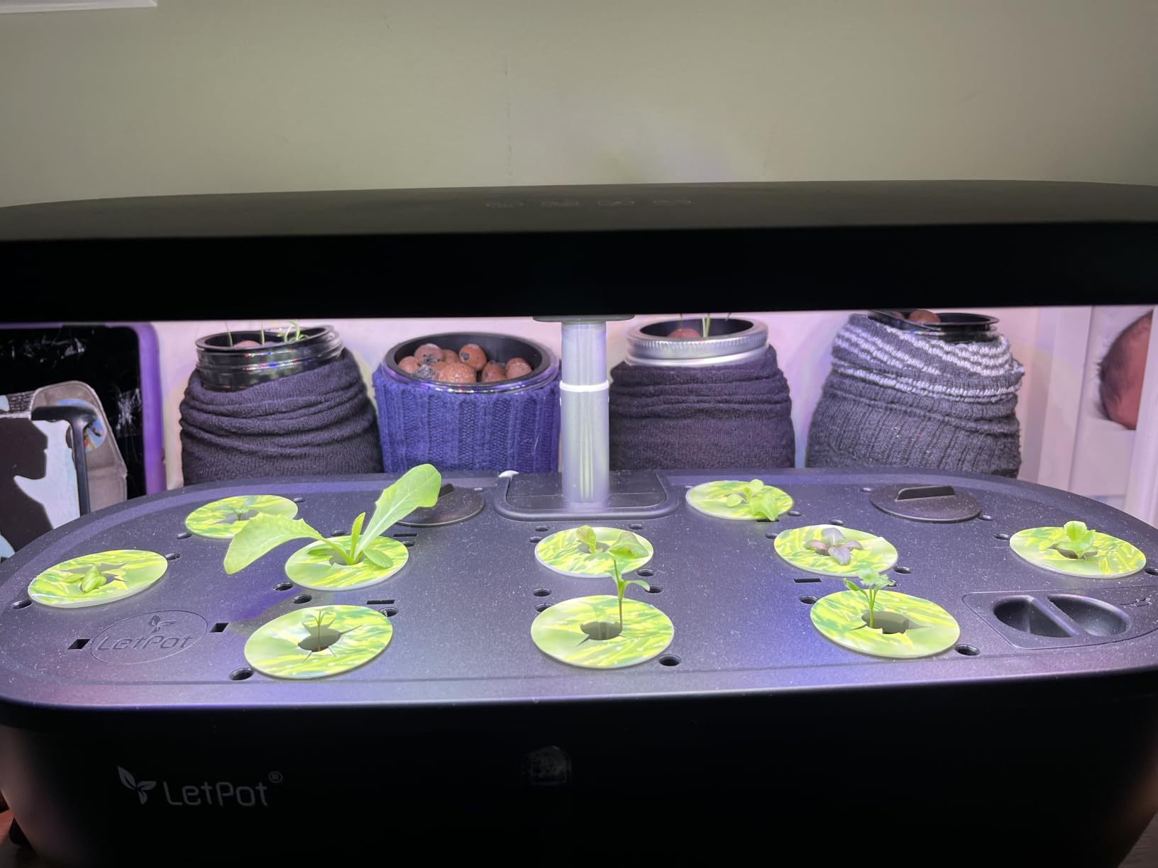 LETPOT Hydroponics Growing System, 12 Pods Indoor Herb Garden Kit with 24W LED Grow Light, 5.5L Water Tank & 16