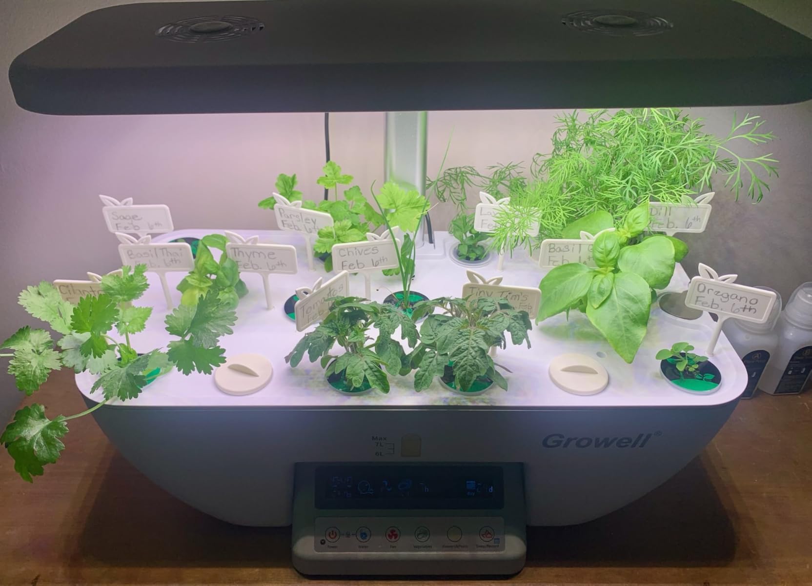 Growell 17 Pods Hydroponics Growing System Kit, Indoor Garden with 2 Fans customer photo 1