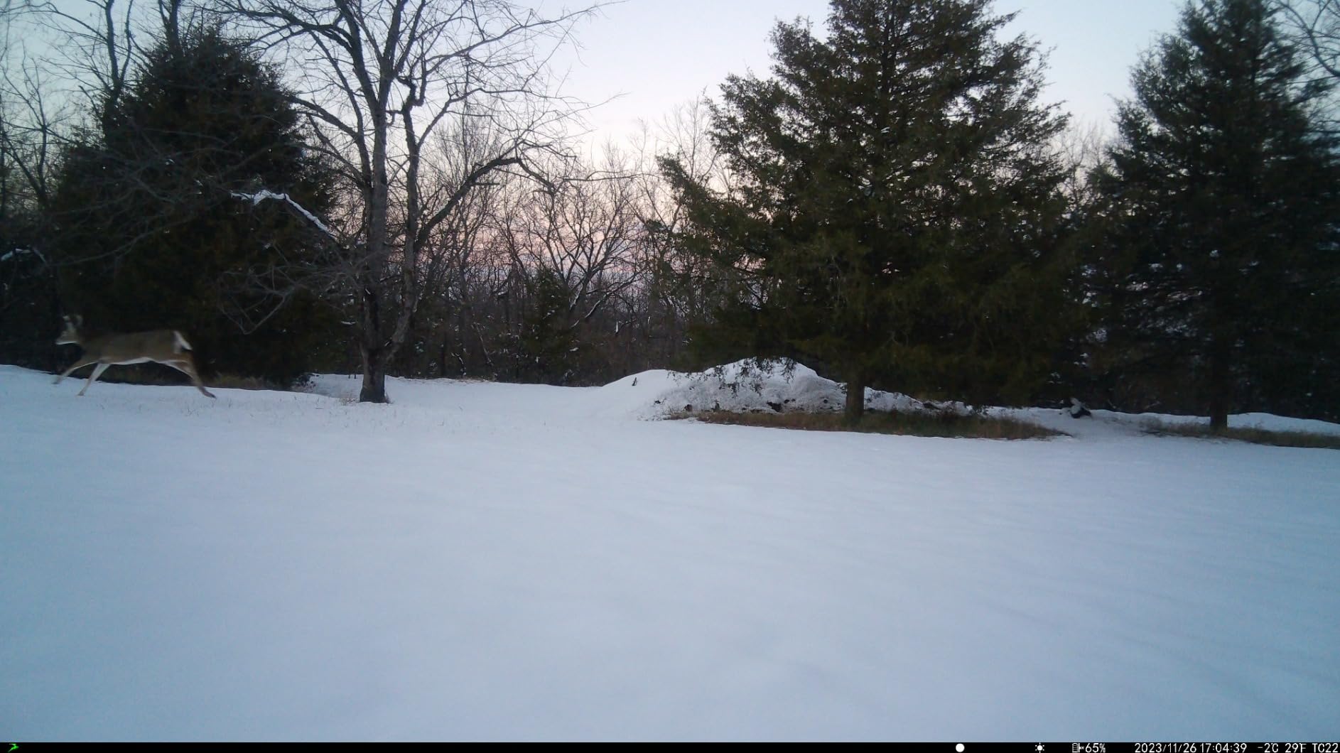 Cellular Trail Camera, 4G LTE Dual Lens Game Camera 360° Live Streaming customer photo 1
