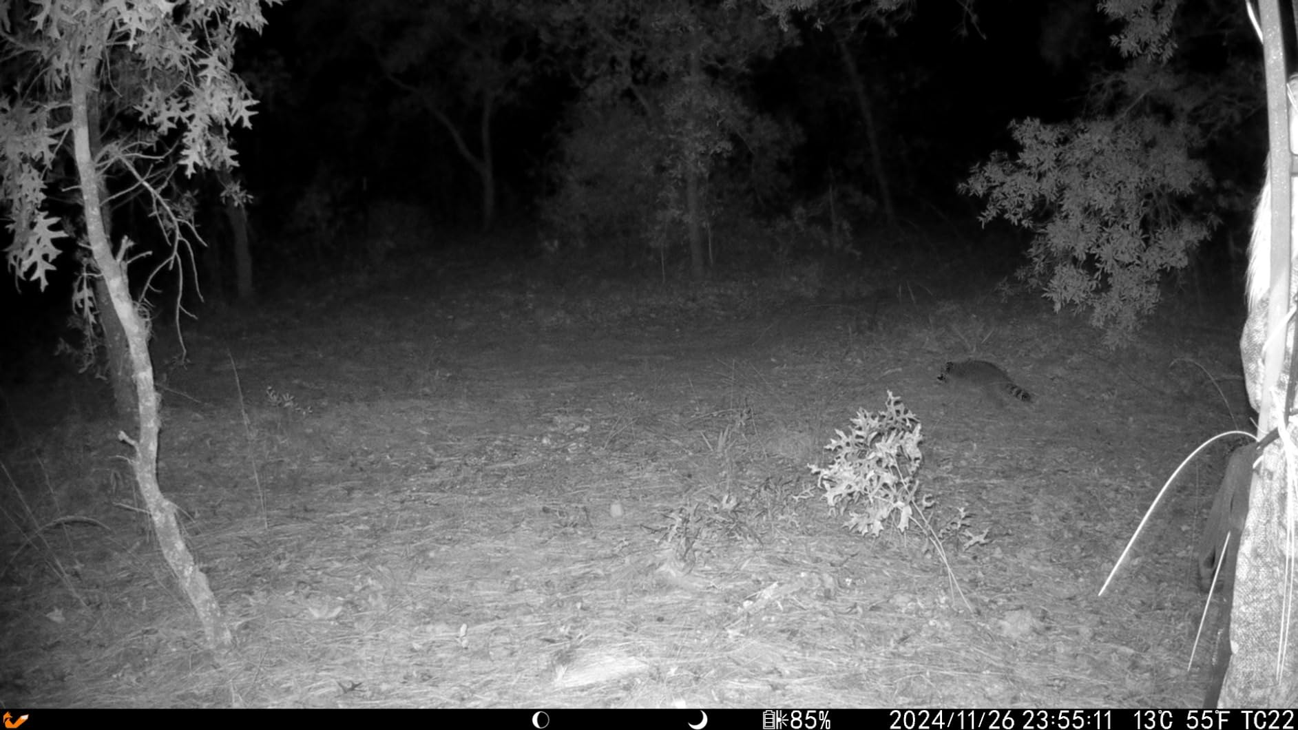Cellular Trail Camera, 4G LTE Dual Lens Game Camera 360° Live Streaming customer photo 2