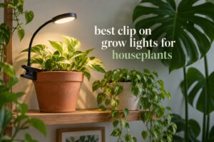 best clip on grow lights for houseplants