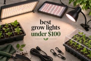 best grow lights under $100