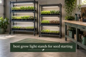 best grow light stands for seed starting